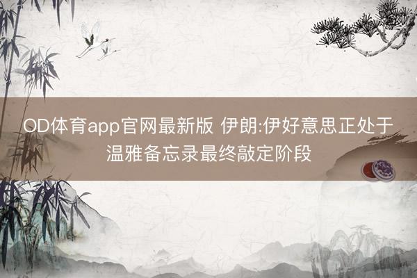 OD体育app官网最新版 伊朗:伊好意思正处于温雅备忘录最终敲定阶段