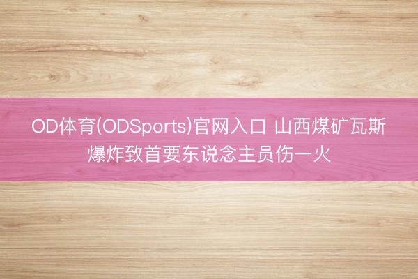 OD体育(ODSports)官网入口 山西煤矿瓦斯爆炸致首要东说念主员伤一火