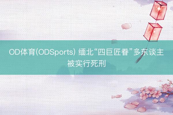 OD体育(ODSports) 缅北“四巨匠眷”多东谈主被实行死刑