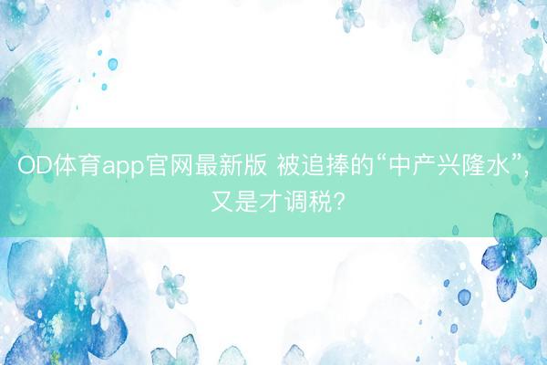OD体育app官网最新版 被追捧的“中产兴隆水”, 又是才调税?
