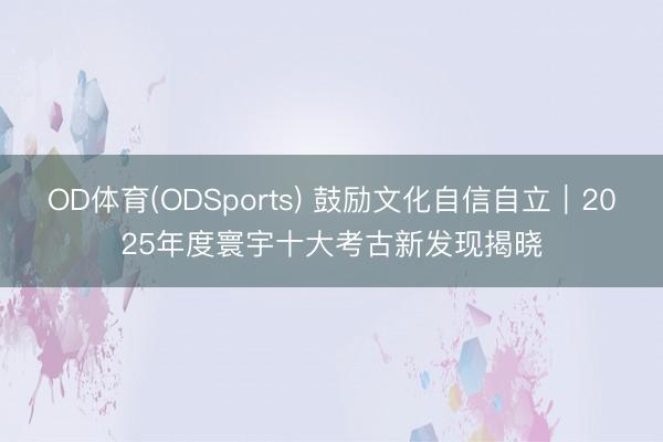 OD体育(ODSports) 鼓励文化自信自立｜2025年度寰宇十大考古新发现揭晓