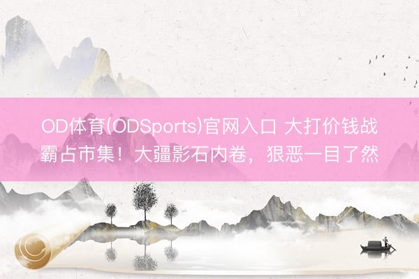 OD体育(ODSports)官网入口 大打价钱战霸占市集！大疆影石内卷，狠恶一目了然
