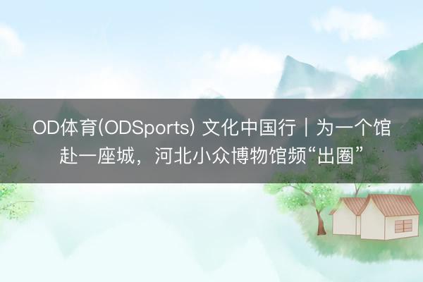 OD体育(ODSports) 文化中国行｜为一个馆赴一座城，河北小众博物馆频“出圈”