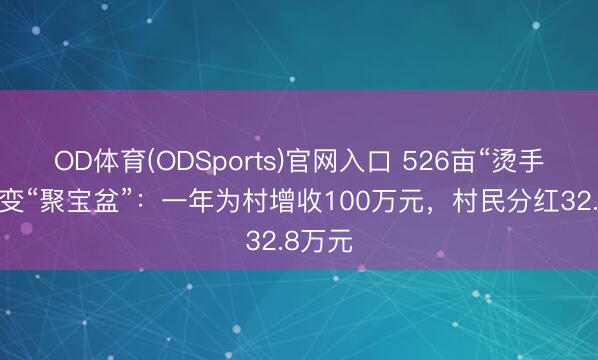 OD体育(ODSports)官网入口 526亩“烫手山芋”变“聚宝盆”：一年为村增收100万元，村民分红32.8万元