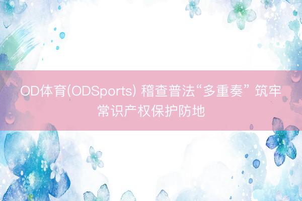 OD体育(ODSports) 稽查普法“多重奏” 筑牢常识产权保护防地